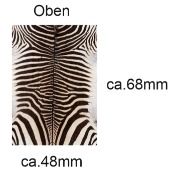 1:14 Tamiya MB SK / NG Sitzbezug